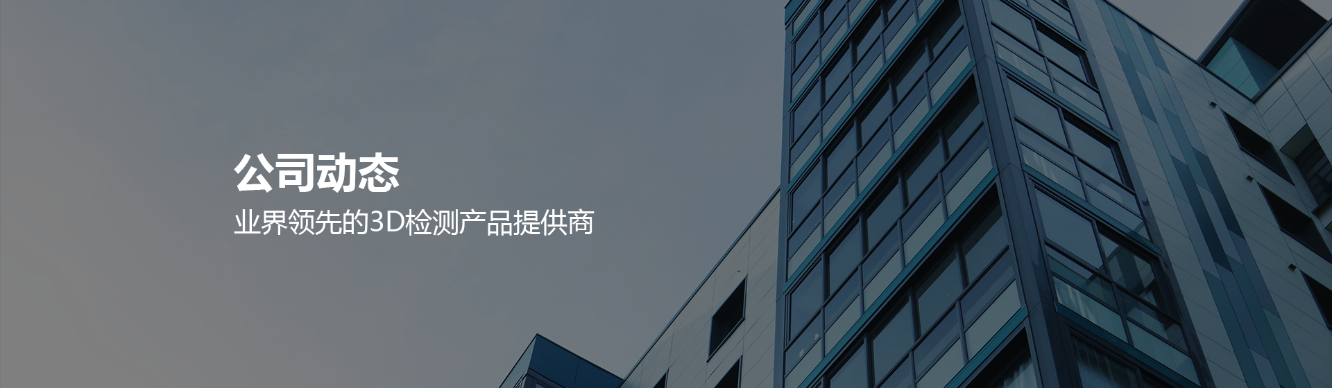 公司动态